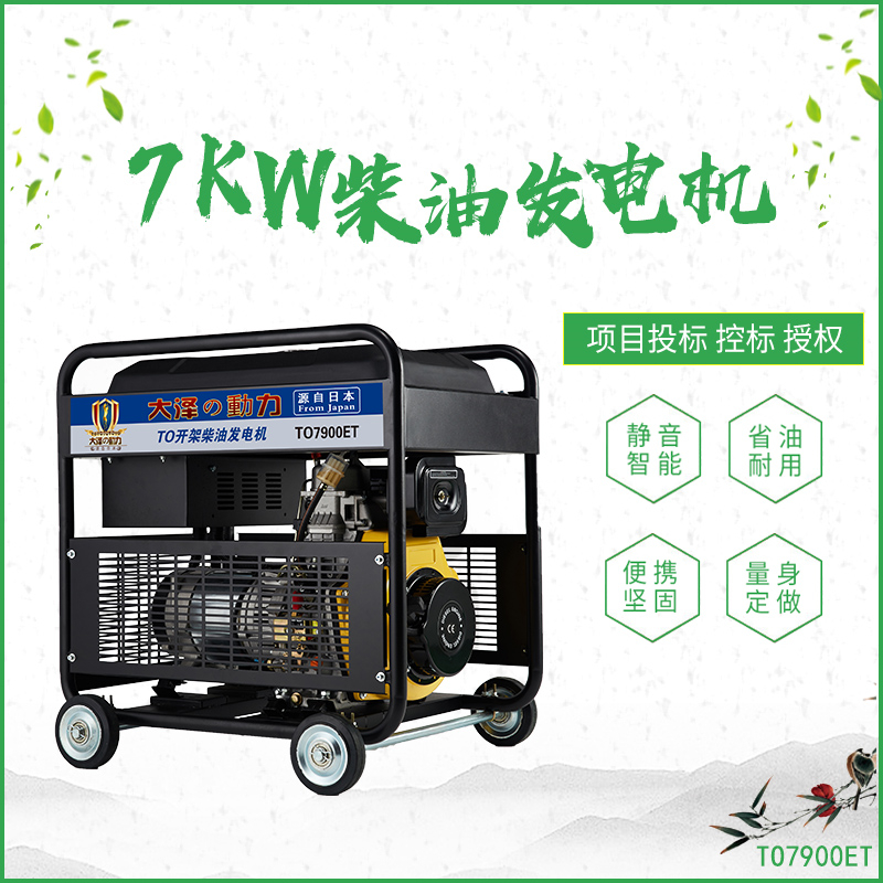 TO7900ET_7KW柴油发电机